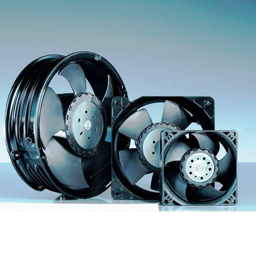 Fanlar